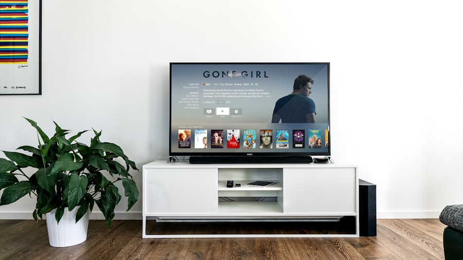 Sony 32-inch Bravia TV